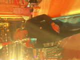 New photo 1-Ahmed