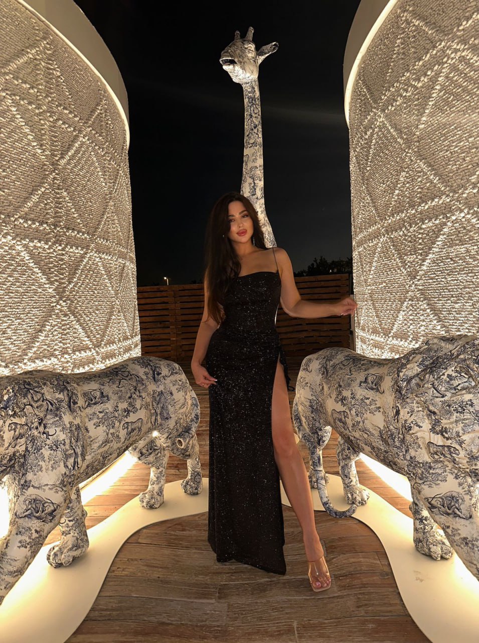 New photo 3-Dominica