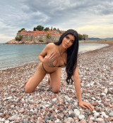 New photo 2-Trans Vers